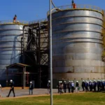 Energia renovável impulsiona estratégia de transição em Mato Grosso