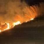 Fogo consumiu completamente o veículo e se espalhou pela vegetação às margens da rodovia; Corpo de Bombeiros controlou as chamas e não houve vítimas