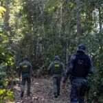 Mato Grosso avança na combinação de recorde agrícola e preservação ambiental