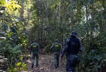 Mato Grosso avança na combinação de recorde agrícola e preservação ambiental