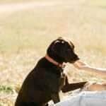 A data mobiliza reflexões sobre maternidade, afeto e novos arranjos familiares afetivos