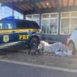 Droga estava em bolsas no porta-malas de um HB20; condutor foi preso e disse que receberia R\$ 10 mil pelo transporte até São Paulo