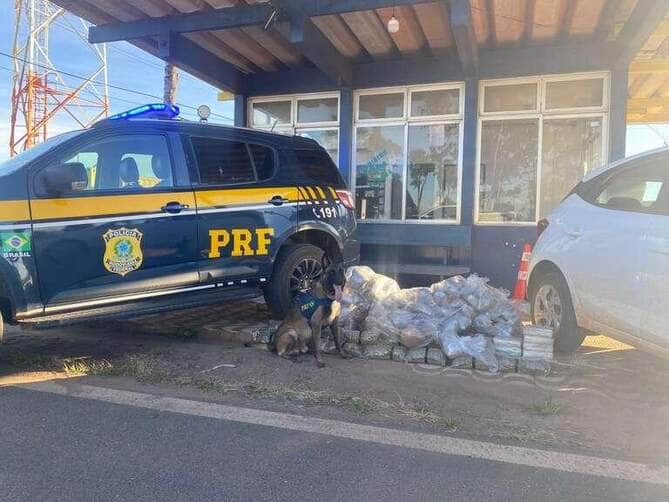 Droga estava em bolsas no porta-malas de um HB20; condutor foi preso e disse que receberia R\$ 10 mil pelo transporte até São Paulo