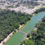 Seis macacos são encontrados mortos e parque é interditado em Mato Grosso