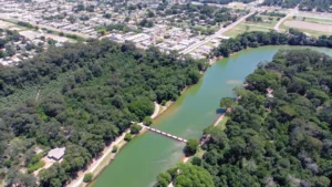 Seis macacos são encontrados mortos e parque é interditado em Mato Grosso