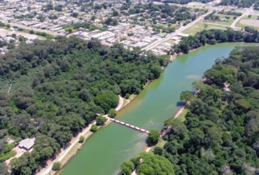Seis macacos são encontrados mortos e parque é interditado em Mato Grosso