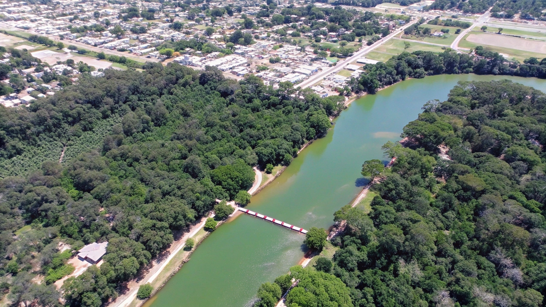 Seis macacos são encontrados mortos e parque é interditado em Mato Grosso