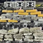 Apreensão de drogas em Mato Grosso gera prejuízo de R$ 539 mil ao tráfico