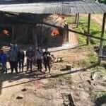 Polícia Civil destrói quase 90 quilos de entorpecentes em Mato Grosso