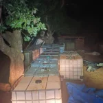 Polícia Civil de Mato Grosso fecha posto clandestino que abastecia garimpo em Pontes e Lacerda