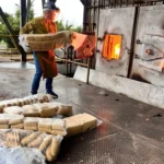 Polícia Civil de Mato Grosso incinera 500 kg de drogas apreendidas