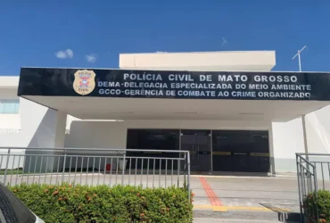 Polícia Civil prende tutor de cães abandonados em Mato Grosso