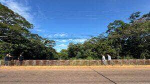 Prefeito encabeça ações para tornar Rondonópolis mais limpa