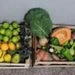 Prefeitura de Cuiabá recebe maquinários para fortalecer Agricultura Familiar