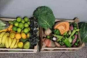 Prefeitura de Cuiabá recebe maquinários para fortalecer Agricultura Familiar