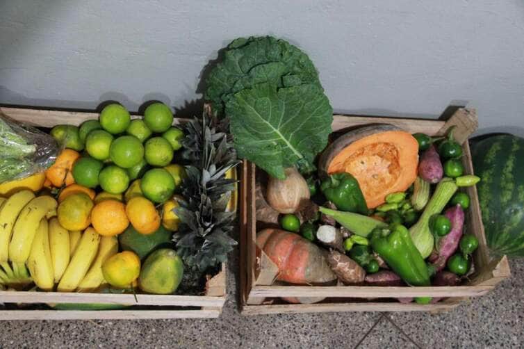 Prefeitura de Cuiabá recebe maquinários para fortalecer Agricultura Familiar