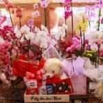 Procon de Várzea Grande dá dicas de segurança para o antes e depois das compras