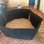 Operação Sentinela 2 flagrou animais em situação de maus-tratos, apetrechos usados em rinhas e arma de fogo em residência de Barra do Bugres