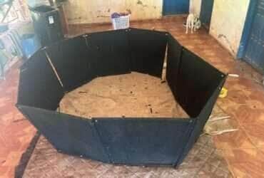 Operação Sentinela 2 flagrou animais em situação de maus-tratos, apetrechos usados em rinhas e arma de fogo em residência de Barra do Bugres