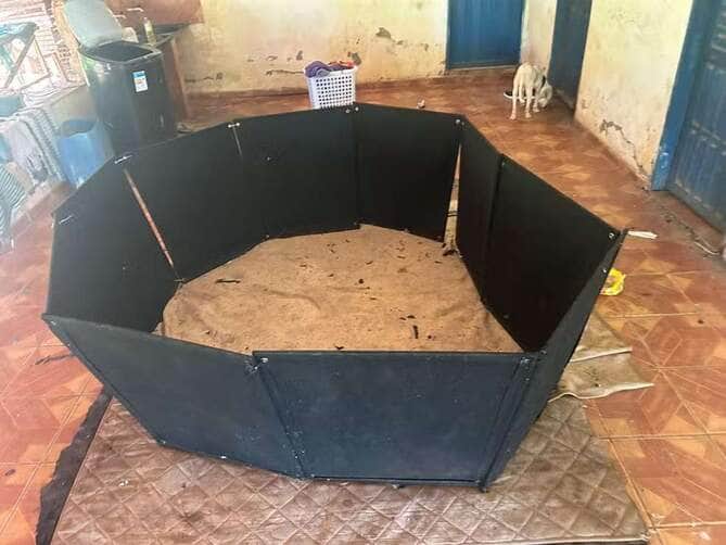 Operação Sentinela 2 flagrou animais em situação de maus-tratos, apetrechos usados em rinhas e arma de fogo em residência de Barra do Bugres