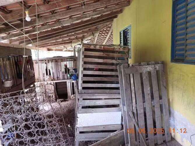 Homem é detido suspeito de manter rinha de galo em casa durante operação policial em MT