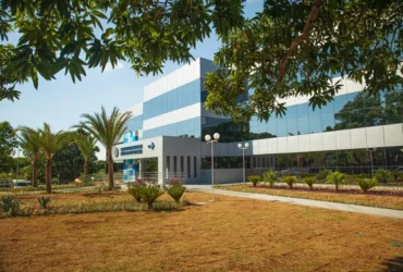 Conscientização em foco: Mato Grosso promove webinar sobre alergia alimentar