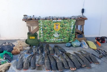 Fiscalização Ambiental apreende 235 kg de pescado irregular em Mato Grosso