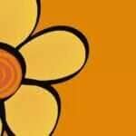 Maio Laranja: Sinop terá caminhada de conscientização, palestras e outras ações orientativas