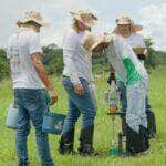 Tecnologia do IFMT impulsiona produção de agricultores familiares em Mato Grosso