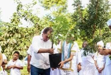 Varzea Grande recebe 1a muda de Baoba plantada em APP publica de Mato Grosso -CenárioMT