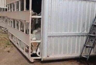 Motorista sofreu ferimentos leves e foi socorrido por equipe da Nova Rota do Oeste; ocorrência mobiliza Polícia Militar e interdita trecho da rodovia