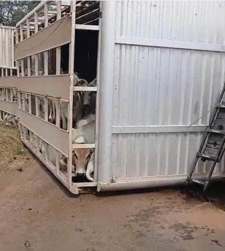 Motorista sofreu ferimentos leves e foi socorrido por equipe da Nova Rota do Oeste; ocorrência mobiliza Polícia Militar e interdita trecho da rodovia