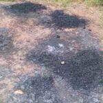 GCM encontra indícios de queima de fios em terreno próximo ao Rio Verde em Lucas do Rio Verde