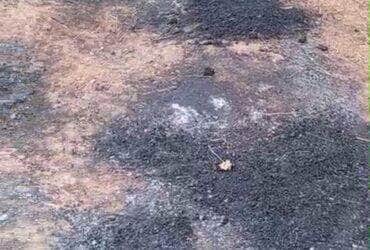 GCM encontra indícios de queima de fios em terreno próximo ao Rio Verde em Lucas do Rio Verde