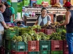 Brasília-DF, 10.11.2023, A Centrais de Abastecimento do Distrito Federal, a CEASA-DF, tem movimento intenso de pessoas que buscam as melhores frutas, legumes e verduras.  Foto: Rafa Neddermeyer/Agência Brasil