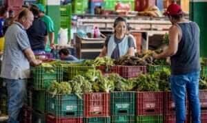 Brasília-DF, 10.11.2023, A Centrais de Abastecimento do Distrito Federal, a CEASA-DF, tem movimento intenso de pessoas que buscam as melhores frutas, legumes e verduras.  Foto: Rafa Neddermeyer/Agência Brasil