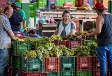 Brasília-DF, 10.11.2023, A Centrais de Abastecimento do Distrito Federal, a CEASA-DF, tem movimento intenso de pessoas que buscam as melhores frutas, legumes e verduras.  Foto: Rafa Neddermeyer/Agência Brasil