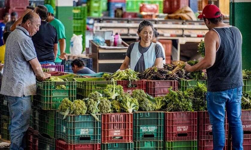 Brasília-DF, 10.11.2023, A Centrais de Abastecimento do Distrito Federal, a CEASA-DF, tem movimento intenso de pessoas que buscam as melhores frutas, legumes e verduras. Foto: Rafa Neddermeyer/Agência Brasil