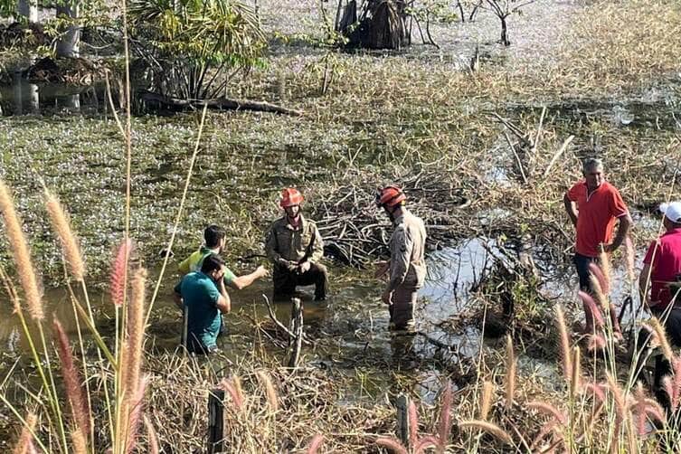 Corpo de Bombeiros resgatou vítimas de carro capotado em área pantanosa e localizou corpo de jovem desaparecido a cerca de 45 metros do veículo
