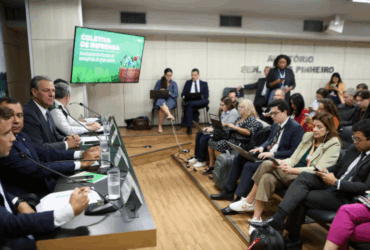 Brasil destaca robustez do sistema sanitário e transparência no enfrentamento da gripe aviária