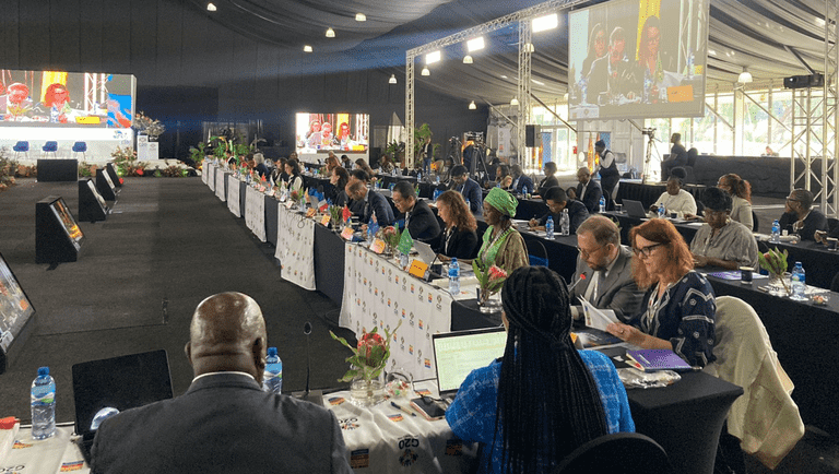 Brasil reforça compromisso com igualdade de gênero na 2ª Reunião do GT Mulheres do G20 na África do Sul -