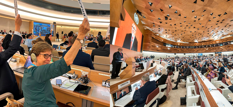 Brasil vota favoravelmente a Acordo de Pandemias aprovado pela OMS -