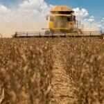 Cotações de soja sobem em grande parte do Brasil