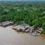 Belém (PA), 30/04/2025 - Ilha do Combu faz parte da área insular de Belém, representa 65% do território da capital paraense. Foto: Márcio Ferreira/Ag. Pará