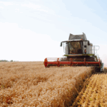 Crescimento da economia brasileira é impulsionado pelo agro no primeiro trimestre