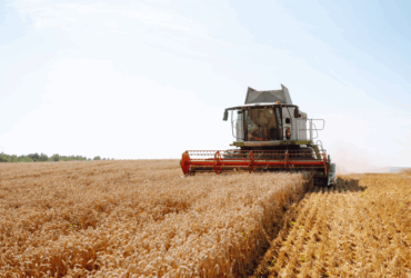 Crescimento da economia brasileira é impulsionado pelo agro no primeiro trimestre