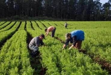 Dia de luta e de celebração pelas conquistas nas cidades e no campo -