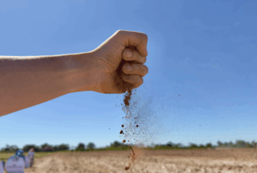 Em Mato Grosso, Governo Federal lança Programa Solo Vivo