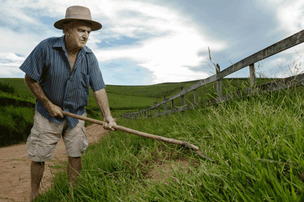 financiamento rural-agricultor