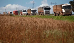 Publicação aponta queda nos fretes agrícolas em outubro, mas preços seguem acima dos de 2023